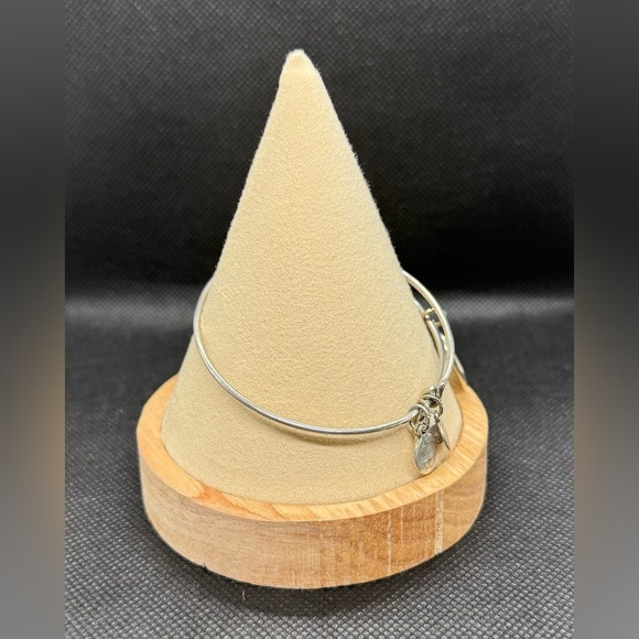 🎼ALEX AND ANI🎼Live Music Charm Bangle in Rafealian Silver/EUC - Picture 4 of 6